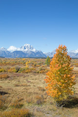 Grand Teton