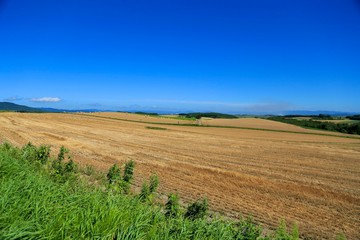 Fototapeta premium 北海道 広大な大地