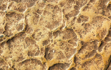 Brown stone background