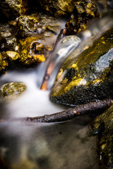 Wet Rocks