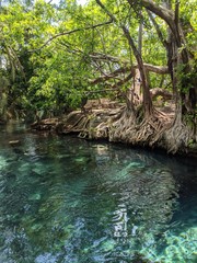 River. Chemka Hot Springs. Kikuletwa Hotsprings. Moshi. Arusha. Kilimanjaro. Tanzania