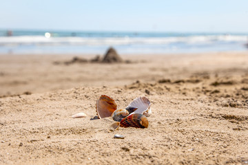 Fototapeta na wymiar Sunny beach by the ocean on a holiday day