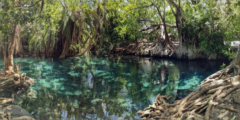 River. Chemka Hot Springs. Kikuletwa Hotsprings. Moshi. Arusha. Kilimanjaro. Tanzania