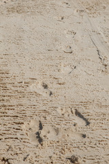 Minimalistic beach scene of foot prints in sand