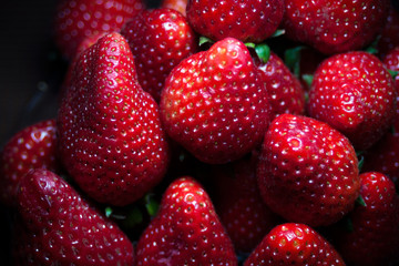 close-up of  many beautiful strawberry fruit