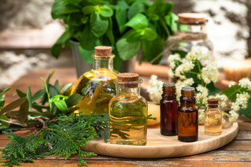 Obraz na płótnie Canvas Assortment of natural oils in glass bottles on wooden background. Concept of pure organic ingredients in cosmetology. Atmosphere of harmony, relax, spa. Close up macro. Healthy lifestyle