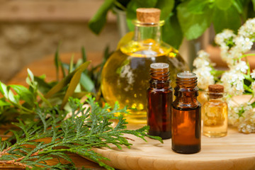 Assortment of natural oils in glass bottles on wooden background. Concept of pure organic ingredients in cosmetology. Atmosphere of harmony, relax, spa. Close up macro. Healthy lifestyle