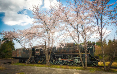 満開の桜と古い機関車
