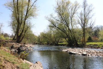 Fototapeta na wymiar Idylle am Fluss Wupper im Frühling nach Renaturierung