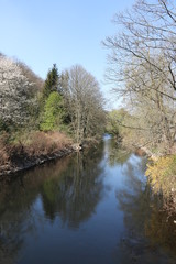 Fototapeta na wymiar Frühling am Fluss Wupper 