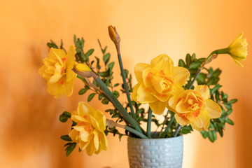Yellow daffodils in a vase.