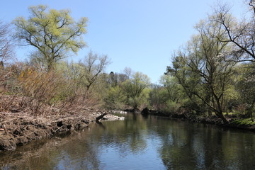 Idylle am Fluss Wupper im Frühling nach Renaturierung