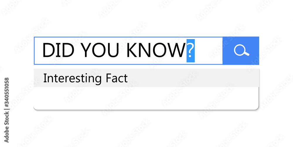 Poster Search query in search bar for browser, template for site is an interesting fact and did you know, question bar, panel, window, vector illustration.