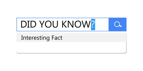 Search query in search bar for browser, template for site is an interesting fact and did you know, question bar, panel, window, vector illustration.