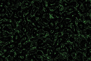 creative green shadowy horrifying decorative computer graphic texture illustration