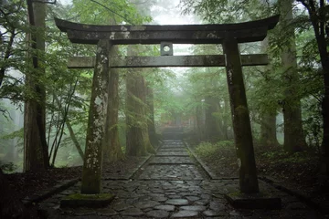 Poster Im Rahmen Japanisches Torii Shinto-Schreintor im Wald, Nikko, Japan © Hannizhong