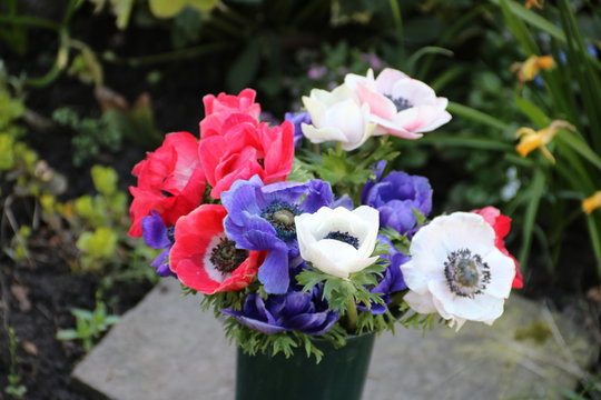 Blumenstrau&szlig; mit mehrfarbigen Anemonen auf dem Friedhof