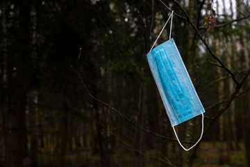 Close-up disposable blue mask on a tree branch in the forest.