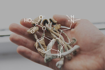 chemical formula of psilocybin on a blackboard Mushroom. Close up Magic shroom.