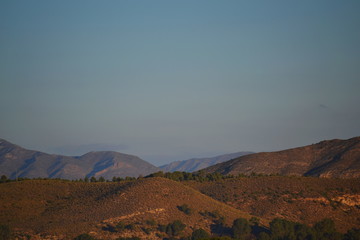 Naklejka premium Desert Mountain with some trees