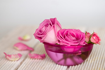 Pink Roses In A Pink Bowl
