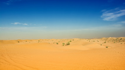 deserto