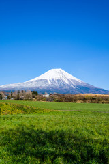 Fototapeta na wymiar 朝霧高原からの富士山