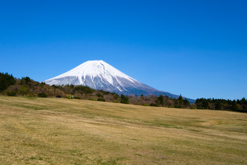 朝霧高原からの富士山