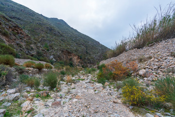 The green river as it passes through the Cejor