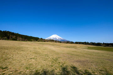朝霧高原からの富士山