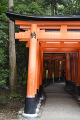 Fushimi Inari
