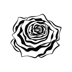 Intricate rose flower tribal ethnic tattoo detailed outline silhouette vector illustration design.