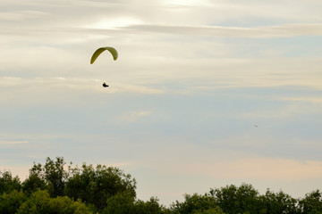 parapente en vuelo sobre un bosque al atardecer sobre Marbella Andalucía España