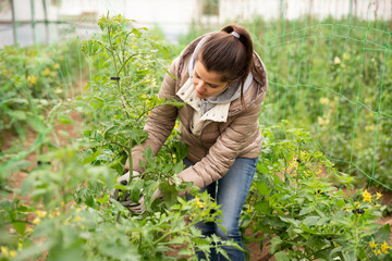 Confident female farmer working in greenhouse, cultivating tomato sprouts