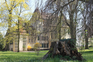 Baumstumpf vor Villa