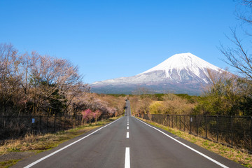 路と富士山