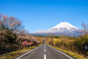 路と富士山