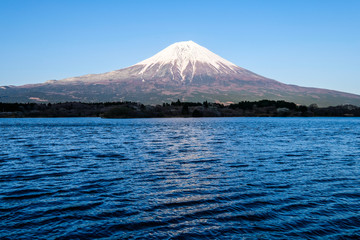 富士山と田貫湖