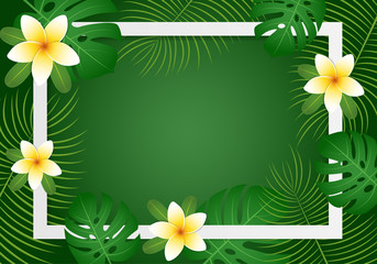 Summer greeting card, banner, background with plumeria flower and tropical leaves  on dark green background. copy space