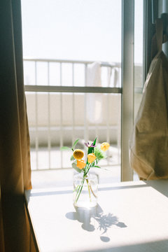 窓辺の花
