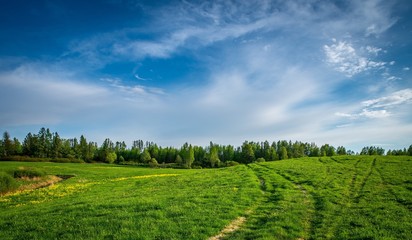 Grasslands Forests Sky Grass Nature photo