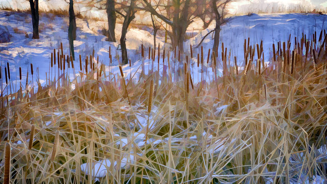 Stylized photo of snow-covered reeds