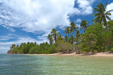Tropical coral island with torquoise water, sandy beach and coconut palm trees, Pangaimotu, Tonga