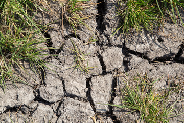 Dried and cracked soil with grass. Concept drowth and erosion.