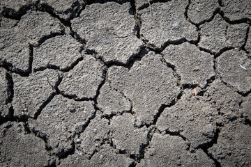 Fototapeta premium Dried and cracked soil with grass. Concept drowth and erosion.