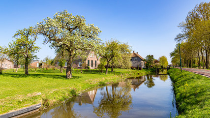 Fototapeta na wymiar Typical Dutch village scape with small traditonal houses reflected in the water and flowering fruit trees during spring