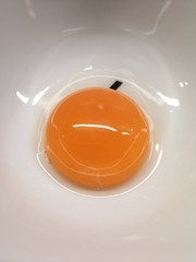 egg yolk in a bowl