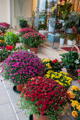 Flower shop with bright autumn colors of chrysanthemums