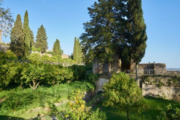 Garden in Convento de cristo christ convent in Tomar, Portugal