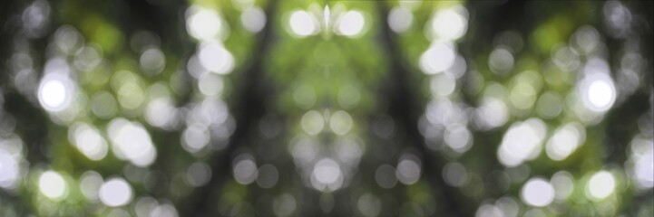 Green and dark  vintage lights background with bokeh. Forest background, defocused, Grenn forest panoramic background
